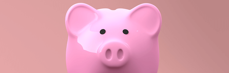 Pink Piggy Bank