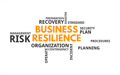 Avoiding Insolvency, Developing Resilience and Business Growth