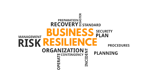 Avoiding Insolvency, Developing Resilience and Business Growth