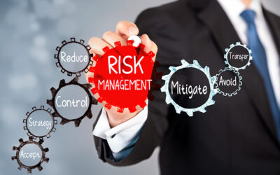 Make Risk Management and Advisory a key source to your firms’ revenue – part 1.